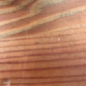 Meet your Posher, Carolinne